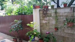Tan Sim Boh Road (D11), Semi-Detached #275264691